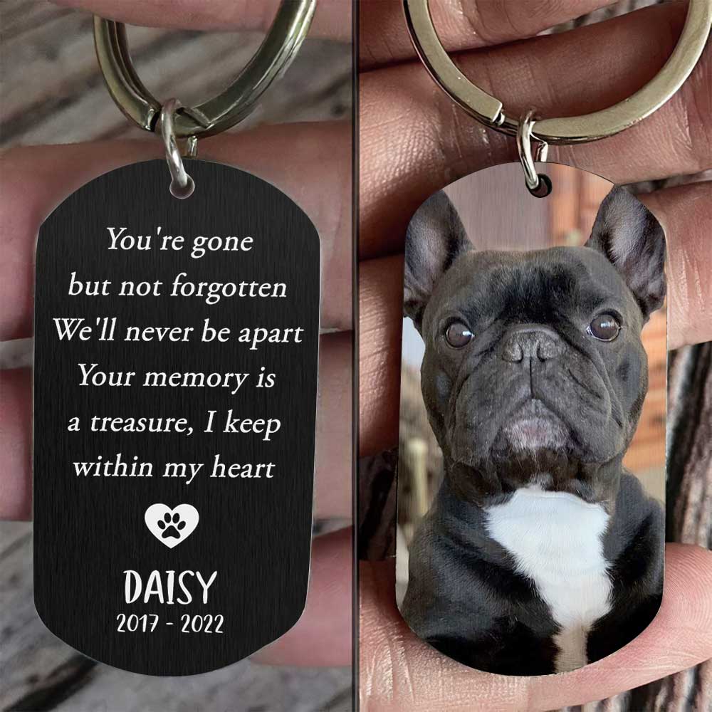 You're Gone But Not Forgotten - Personalized Photo Stainless Steel Keychain Gift For Pet Lovers