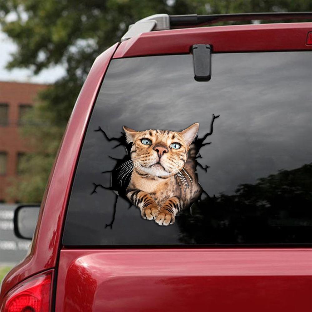 Car Sticker Cats Lover (247)