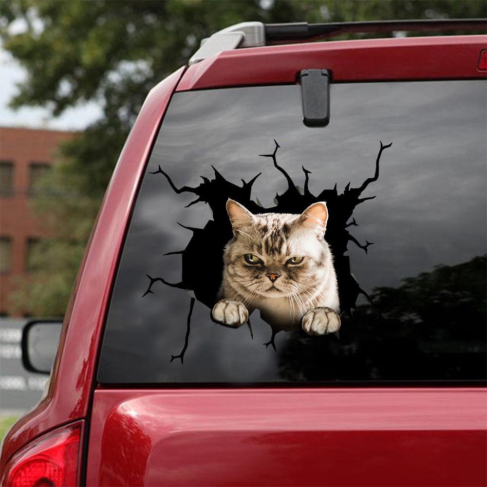 Car Sticker Cats Lover (144)