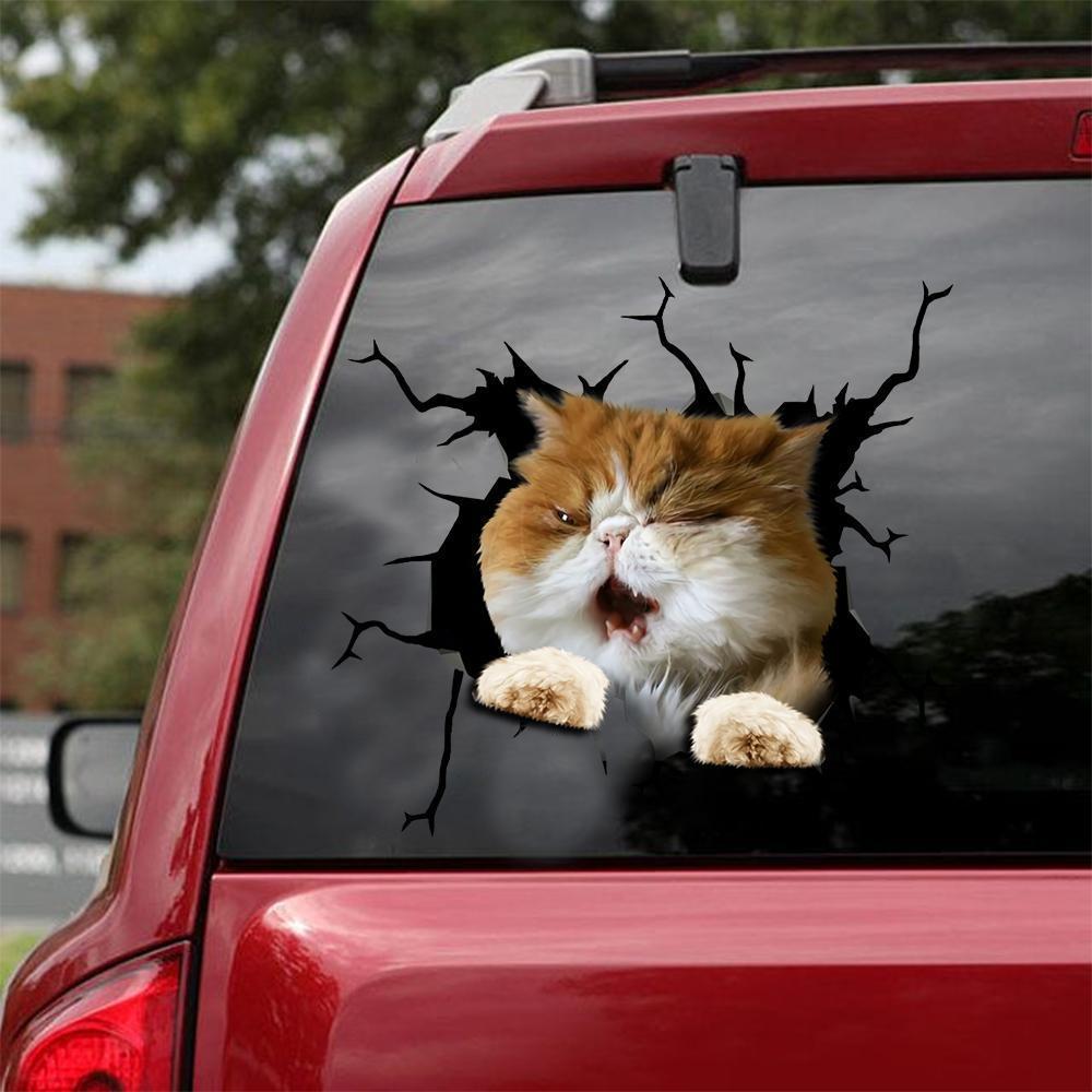 Car Sticker Cats Lover (154)