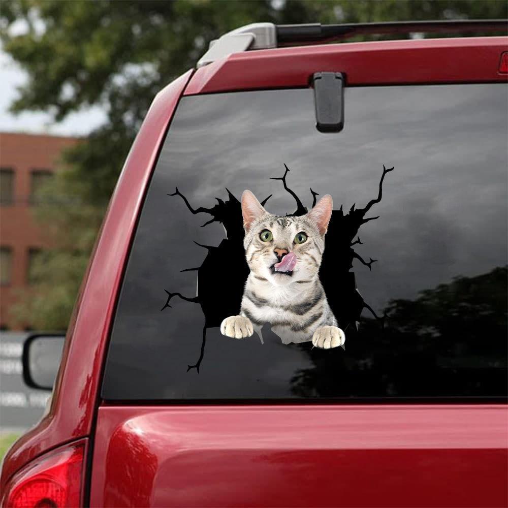 Car Sticker Cats Lover (32)