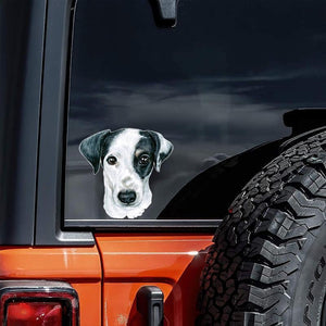 Black and White Jack Russell Terrier-Hand Drawn Car Sticker