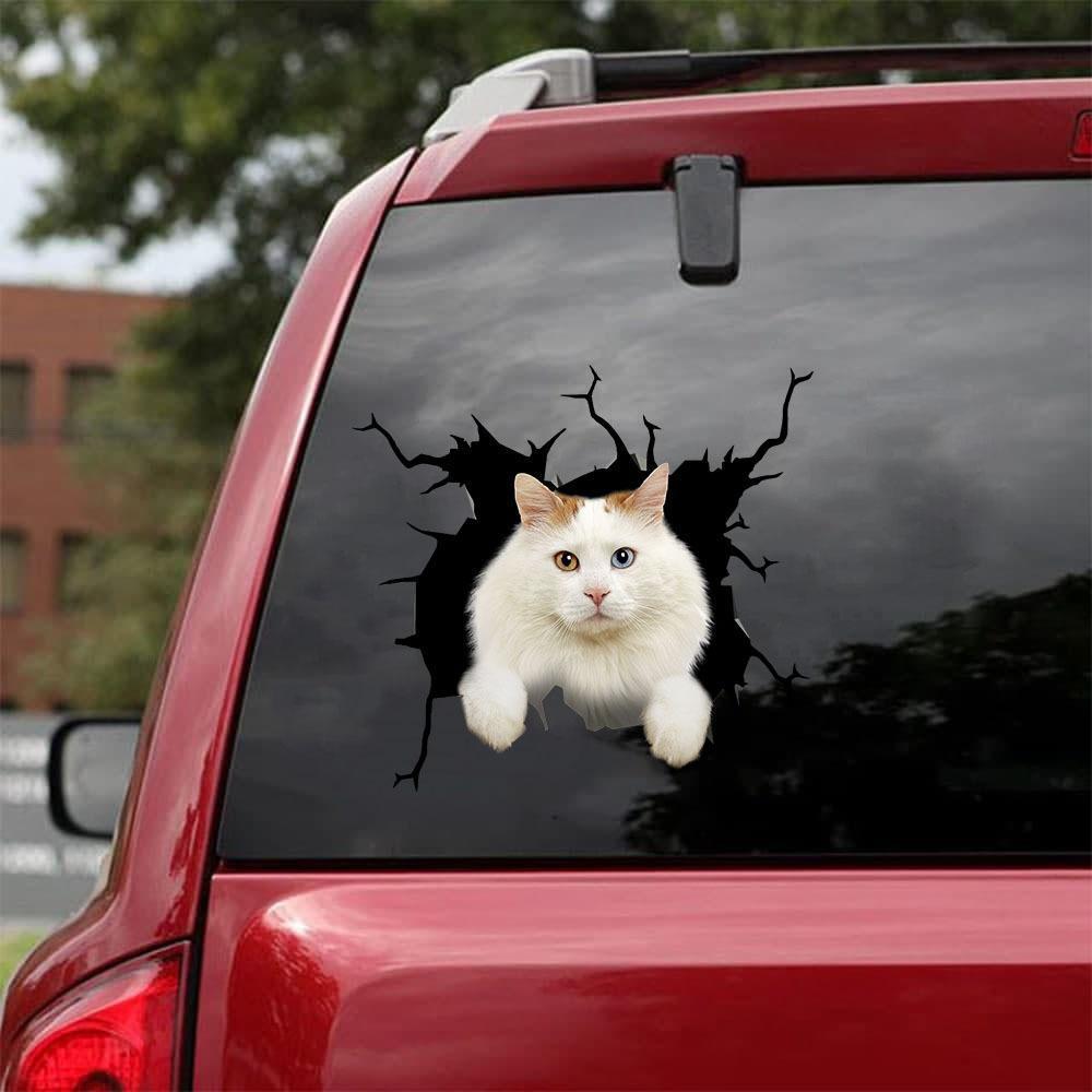 Car Sticker Cats Lover (68)