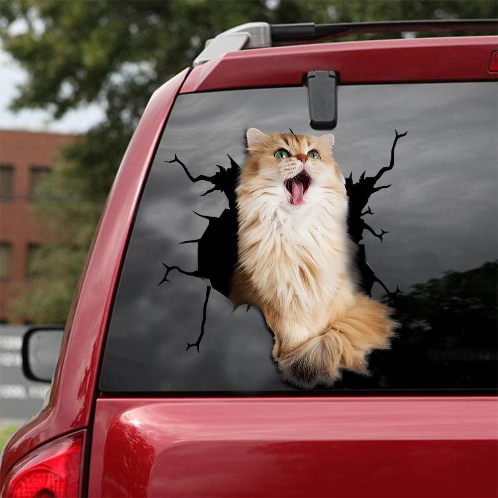 Car Sticker Cats Lover (115)