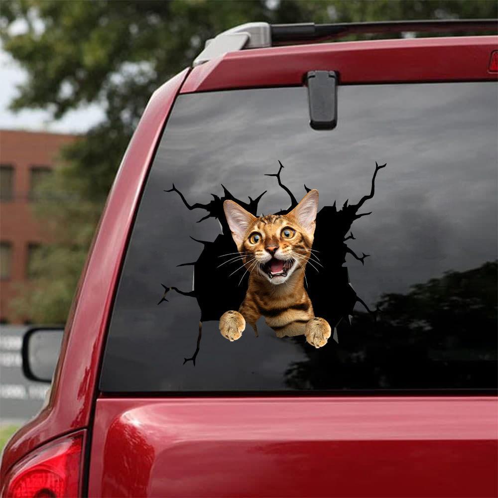 Car Sticker Cats Lover (39)