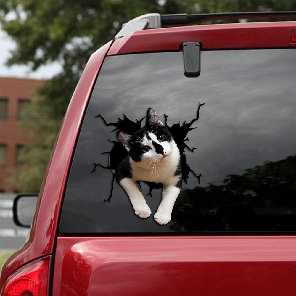 Car Sticker Cats Lover (221)