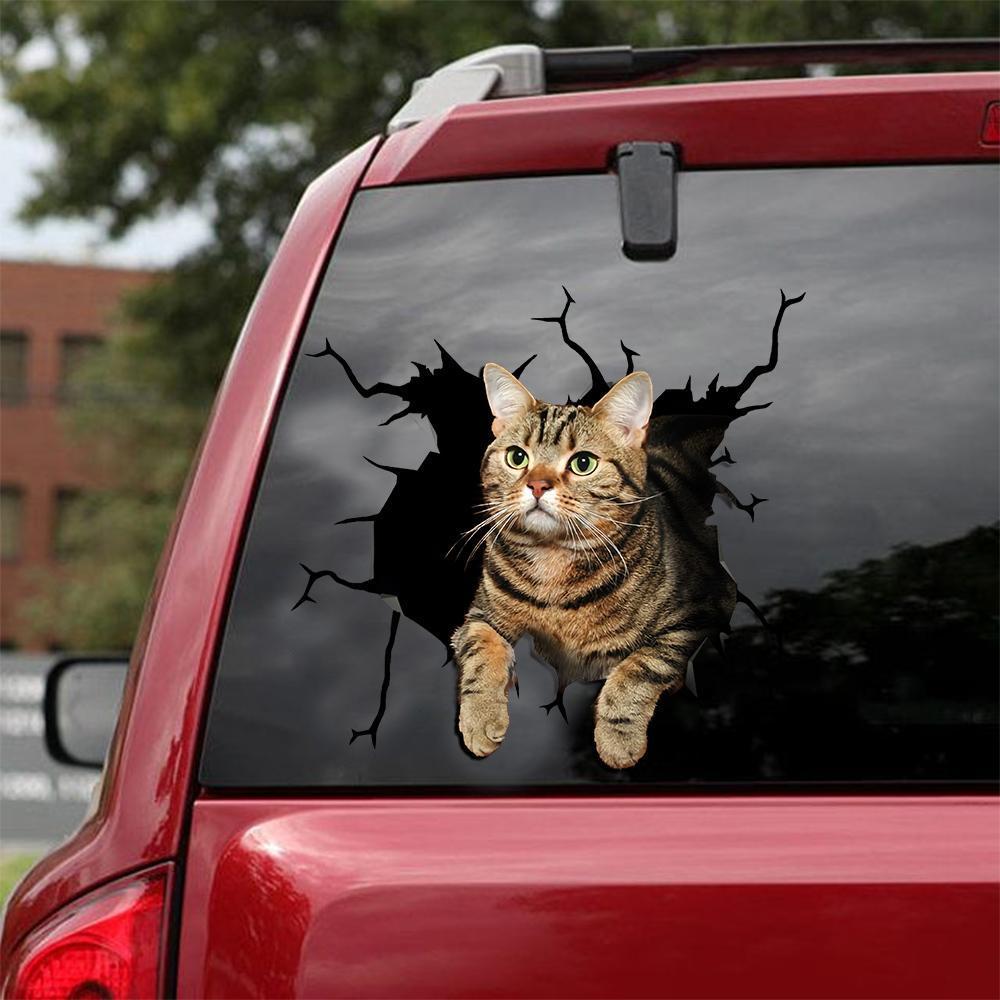 Car Sticker Cats Lover (143)