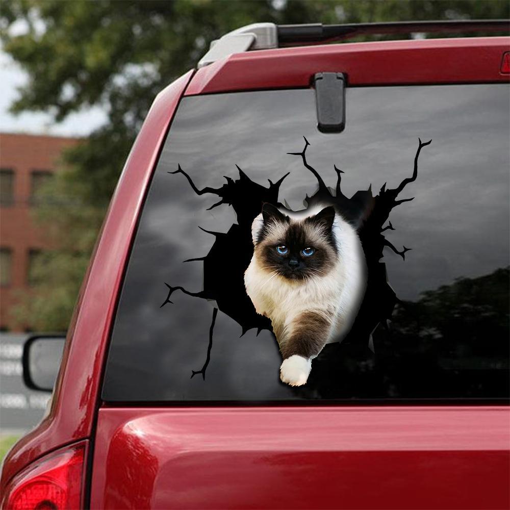 Car Sticker Cats Lover (117)