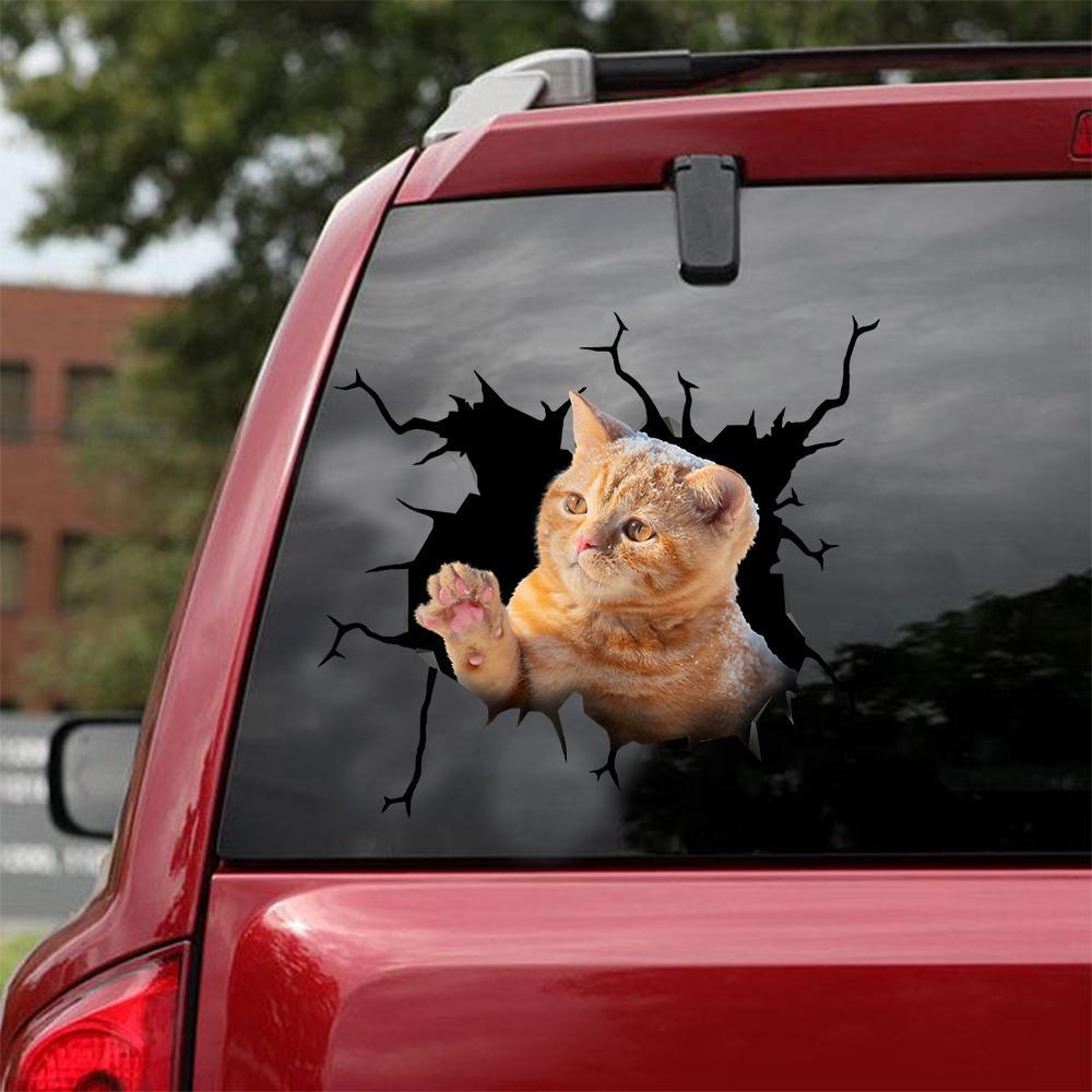 Car Sticker Cats Lover (146)