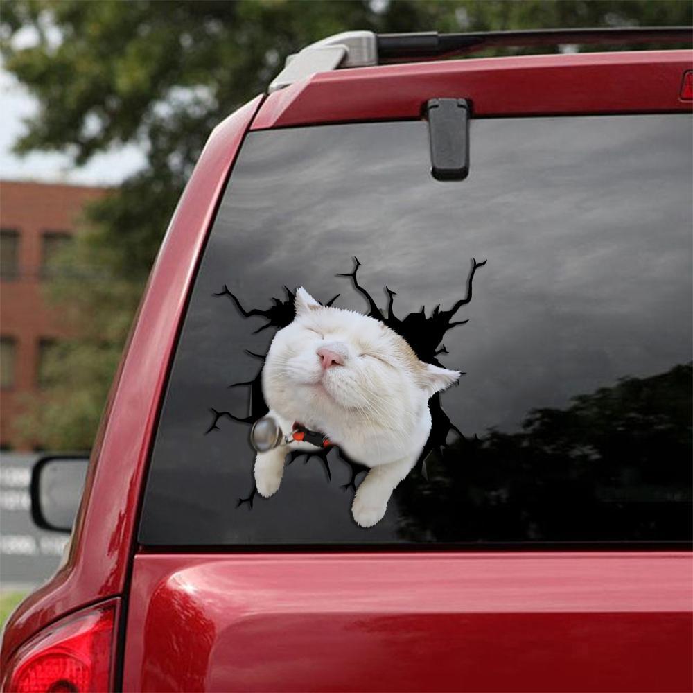 Car Sticker Cats Lover (214)