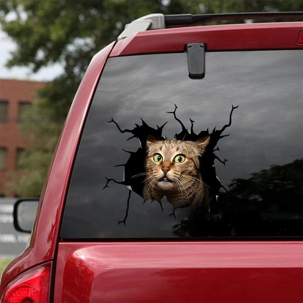 Car Sticker Cats Lover (224)