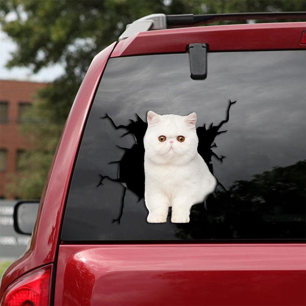 Car Sticker Cats Lover (239)