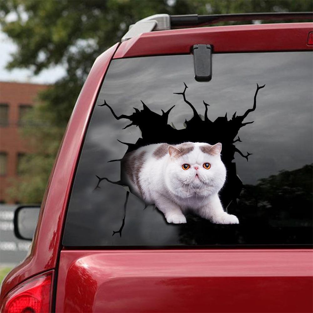 Car Sticker Cats Lover (111)