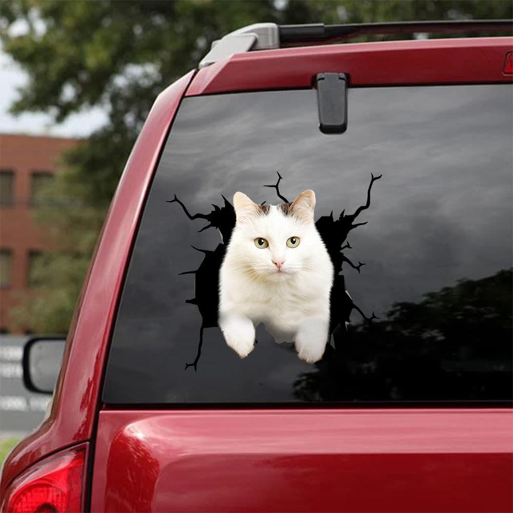 Car Sticker Cats Lover (67)