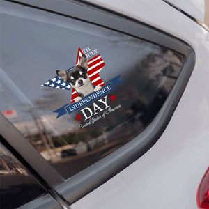 BLACK Chihuahua -Independent Day2 Car Sticker