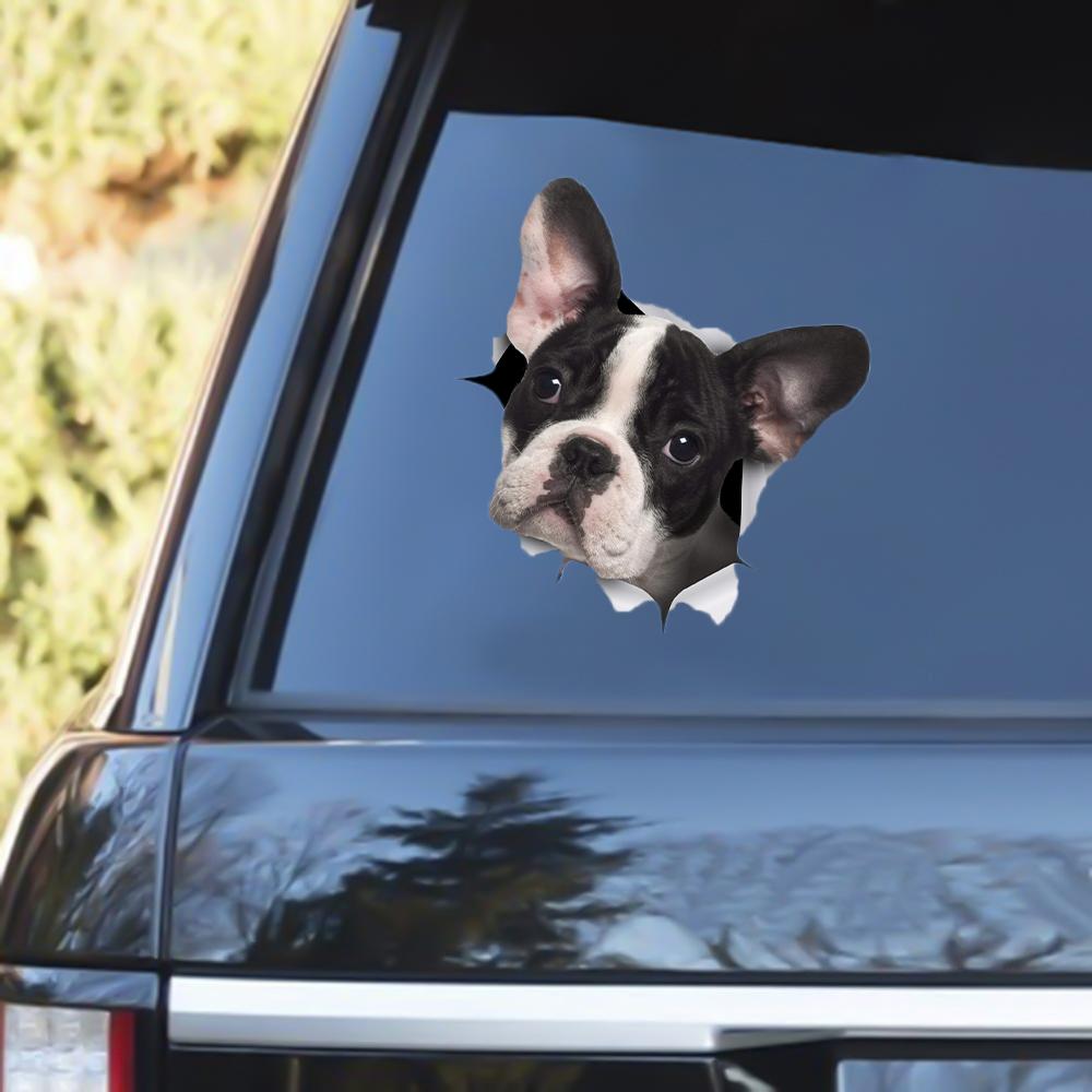 Black And White French Bulldog Out Of The Window Decal