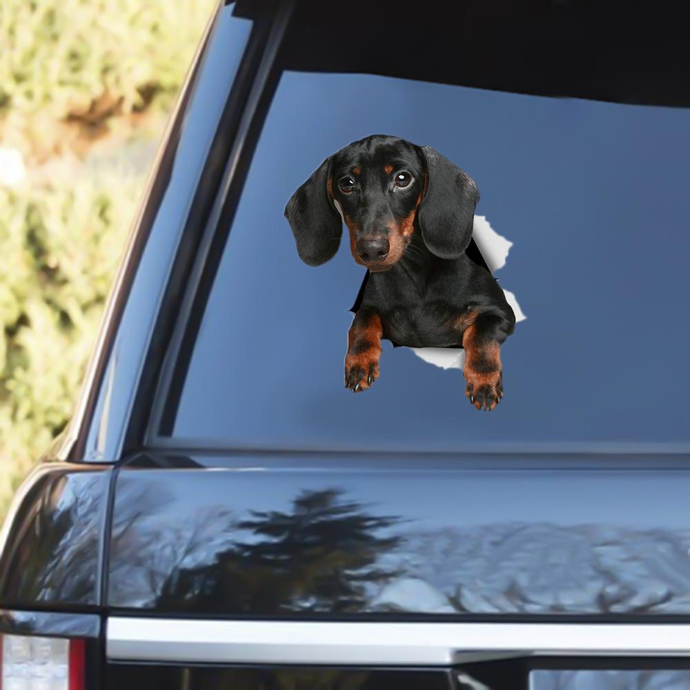 Black Dachshund Out Of The Window Decal