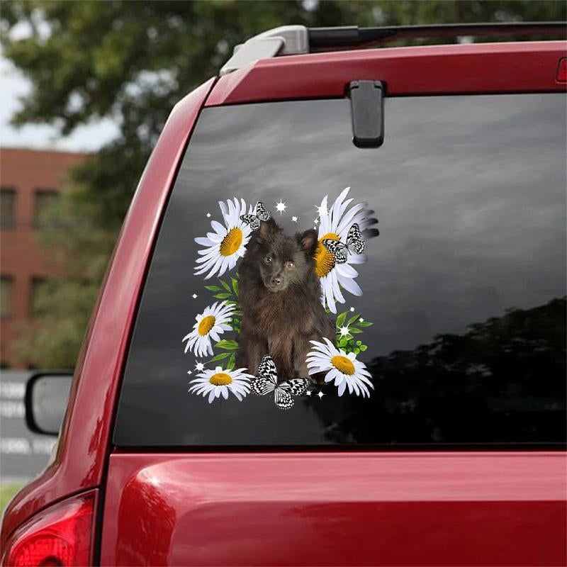 Black Pomeranian-Daisy flower CAR STICKER