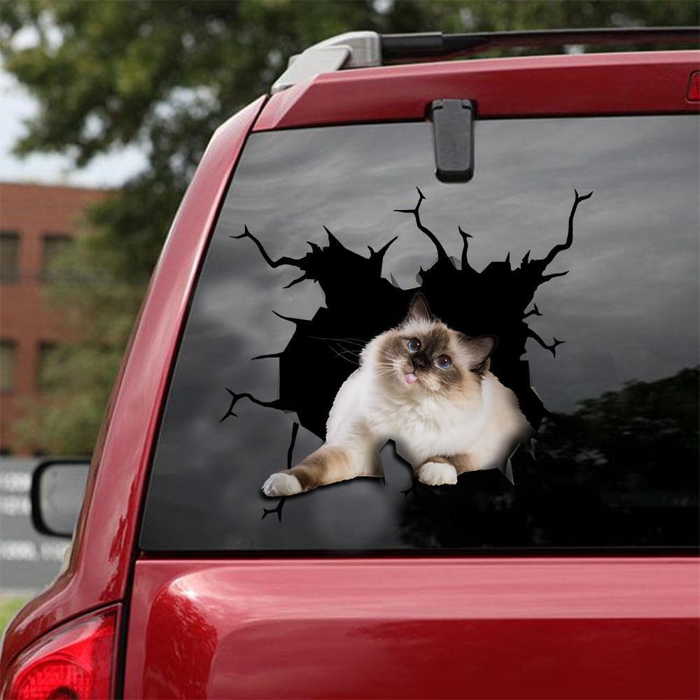 Car Sticker Cats Lover (116)