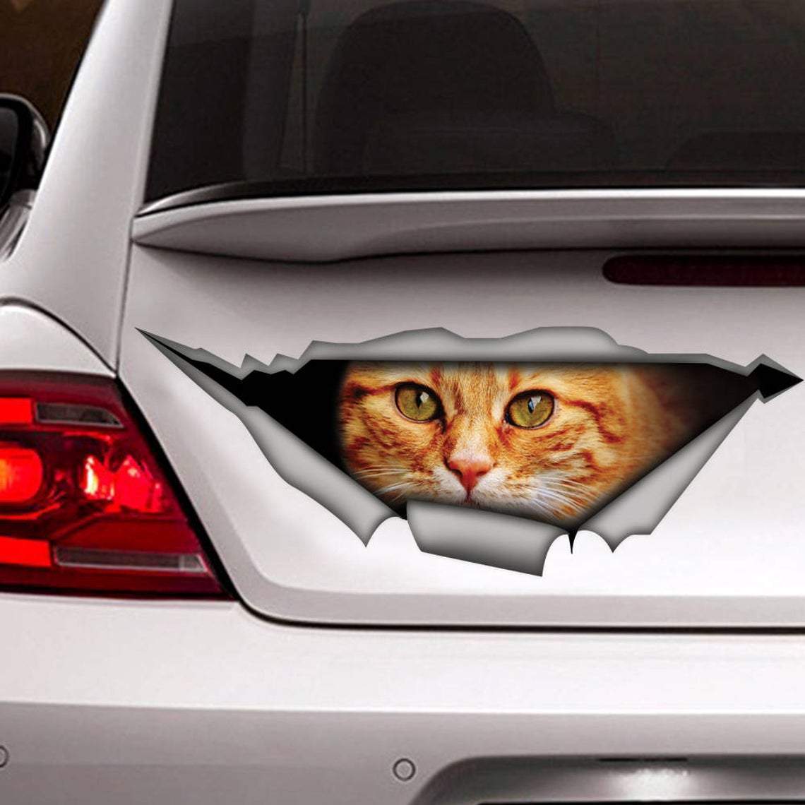 Cat Cat Car Sticker 1