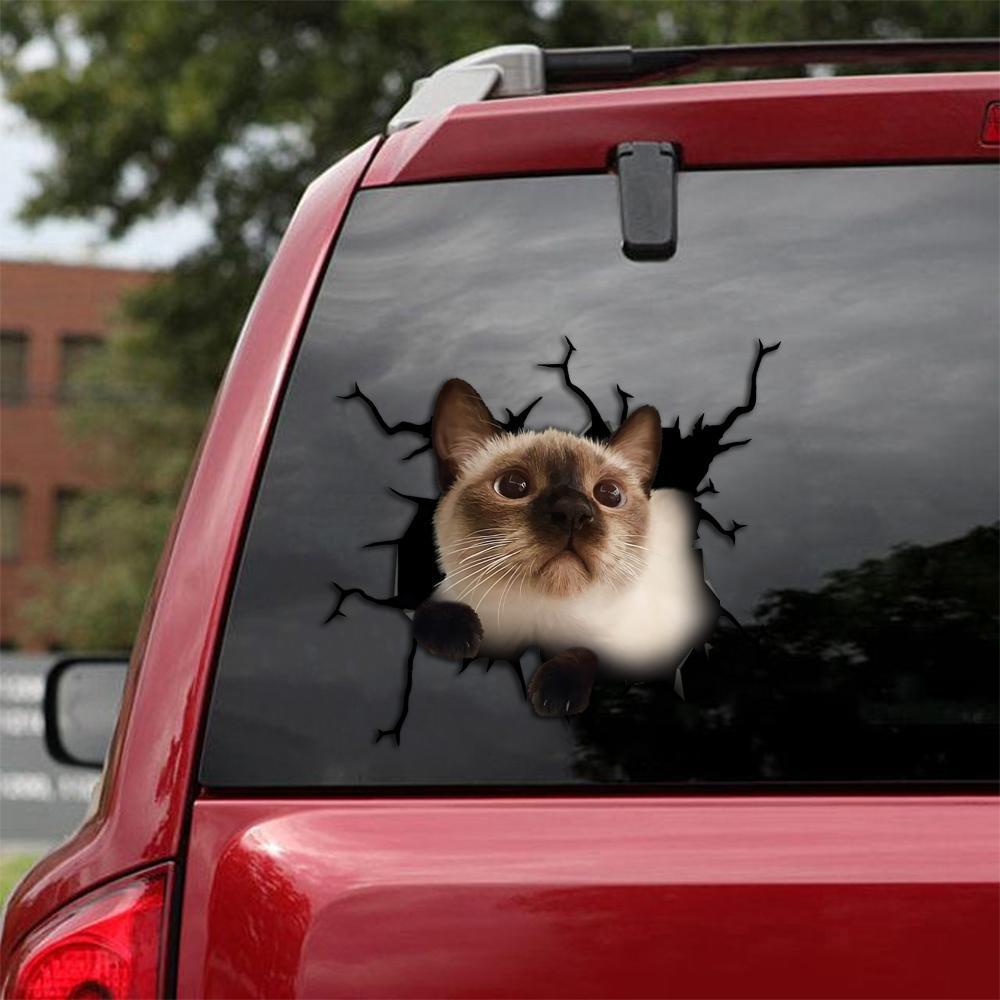 Car Sticker Cats Lover (243)