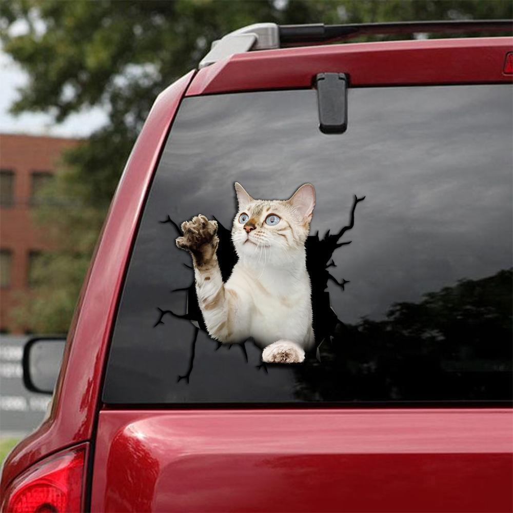 Car Sticker Cats Lover (244)