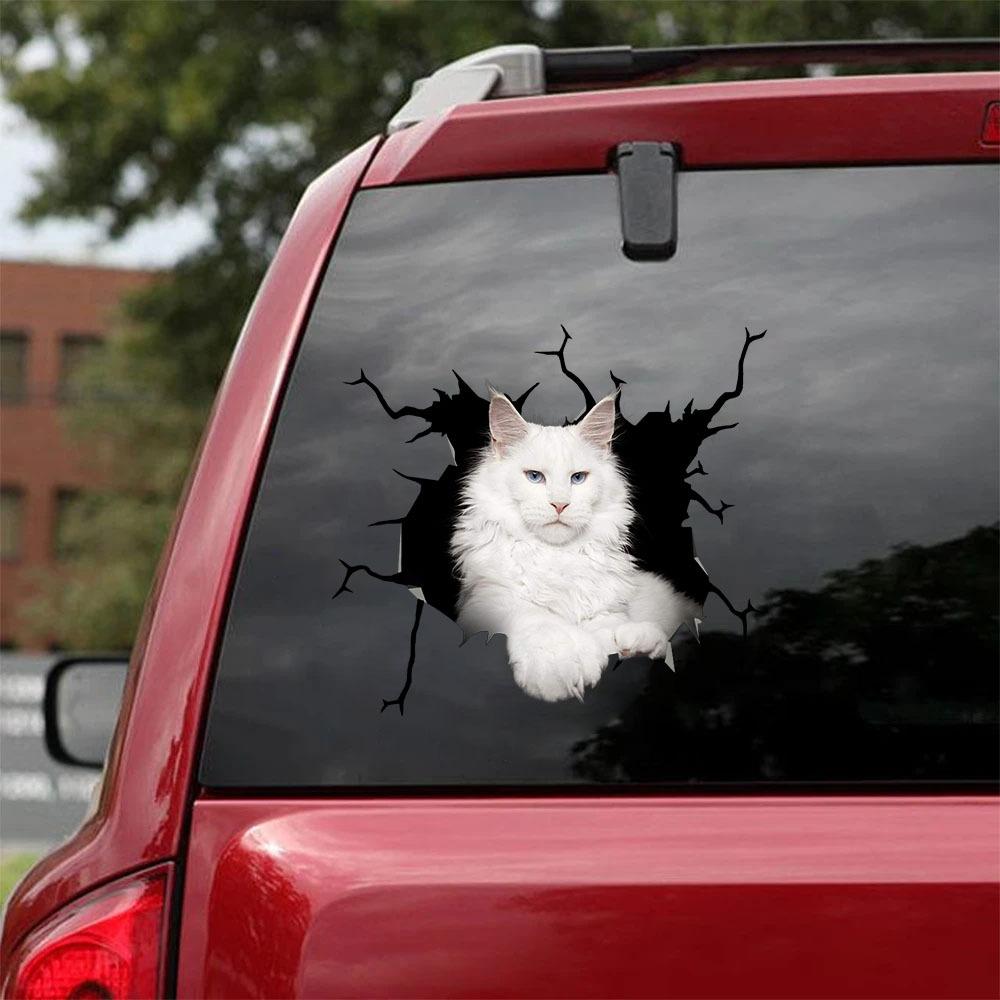 Car Sticker Cats Lover (89)