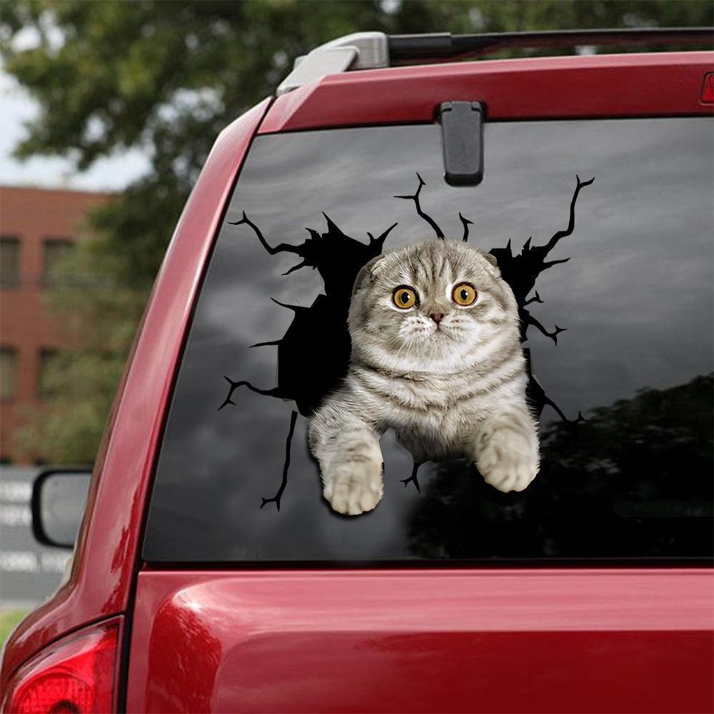 Car Sticker Cats Lover (122)