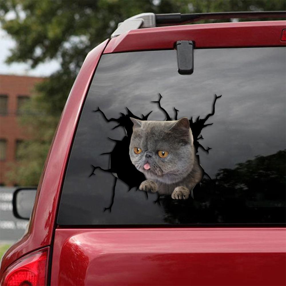 British Shorthair Car Sticker Cats Lover (233)