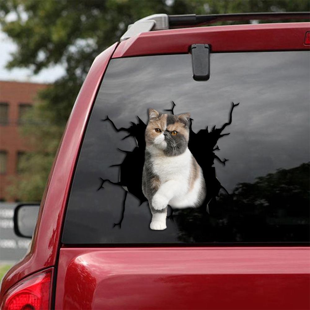 Car Sticker Cats Lover (238)