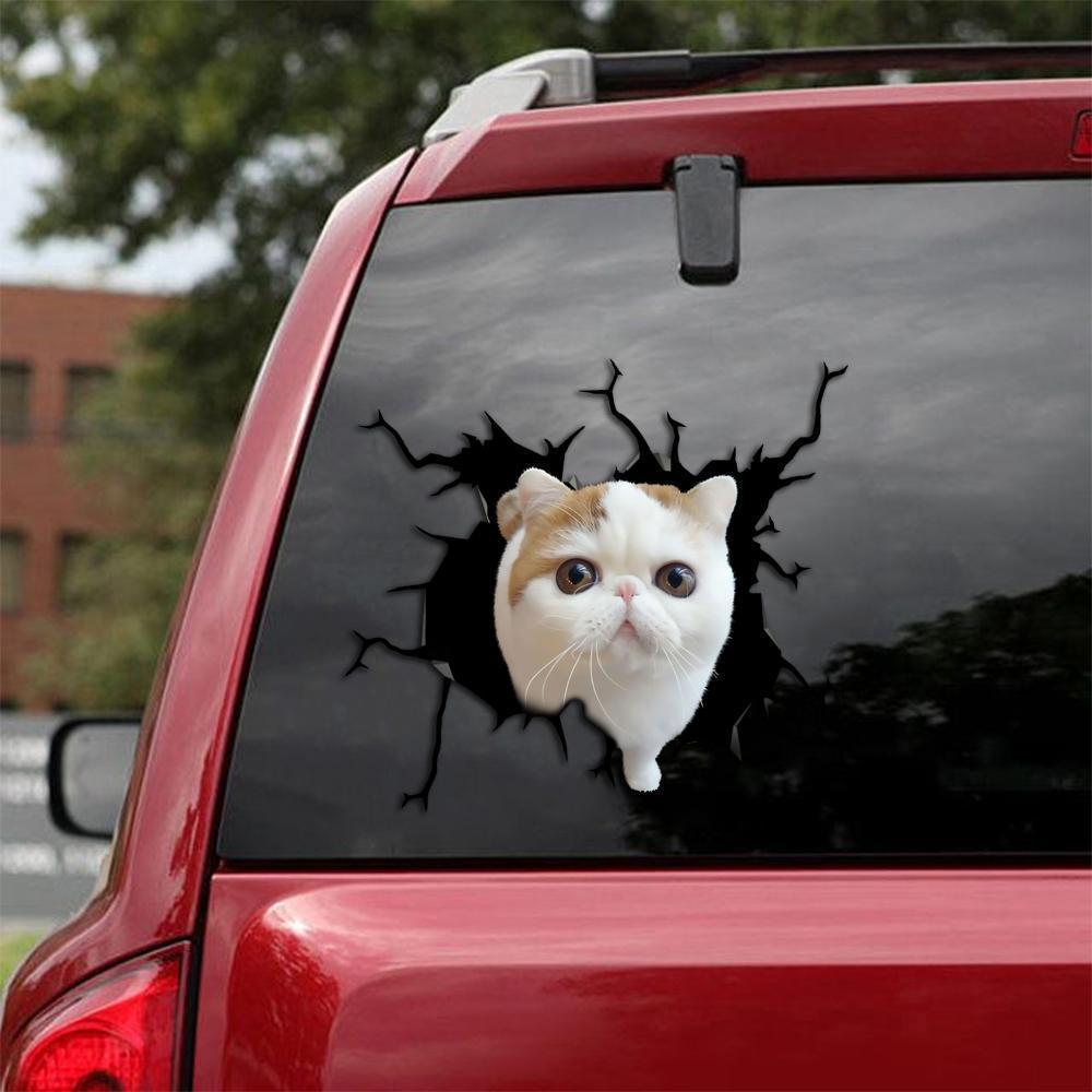 Car Sticker Cats Lover (235)