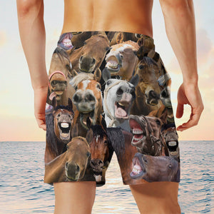 horse Herd Shorts