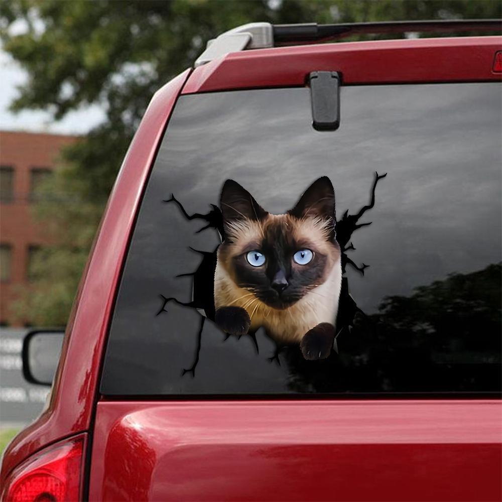 Car Sticker Cats Lover (242)