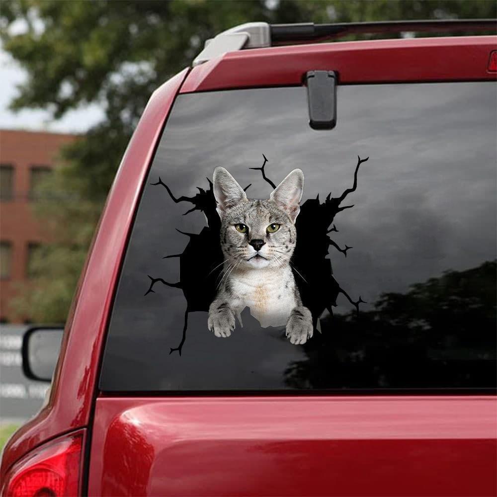 Car Sticker Cats Lover (78)