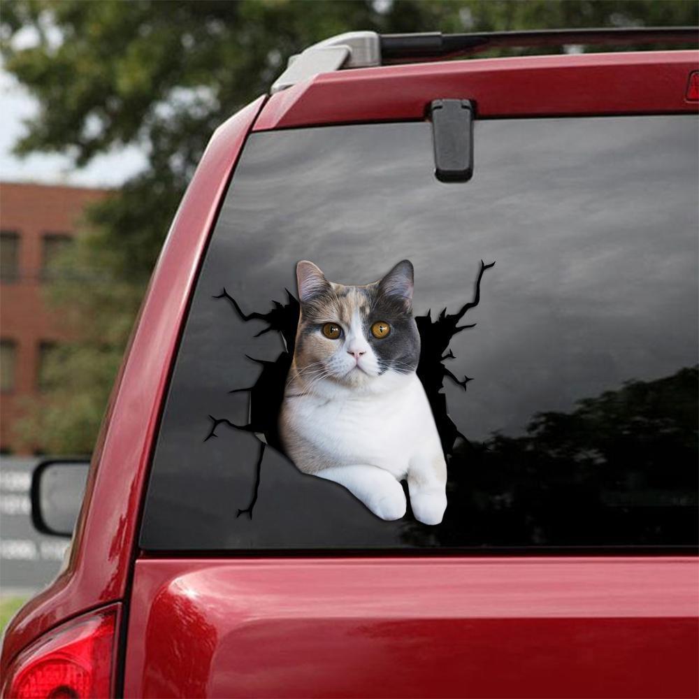 Car Sticker Cats Lover (230)