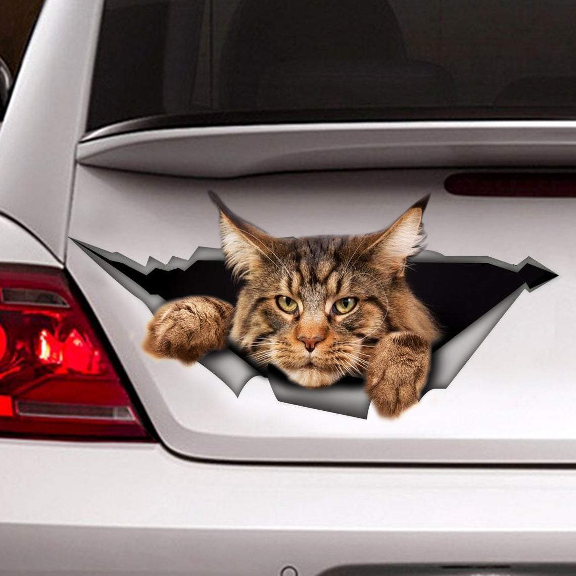 Cat Cat Car Sticker 3