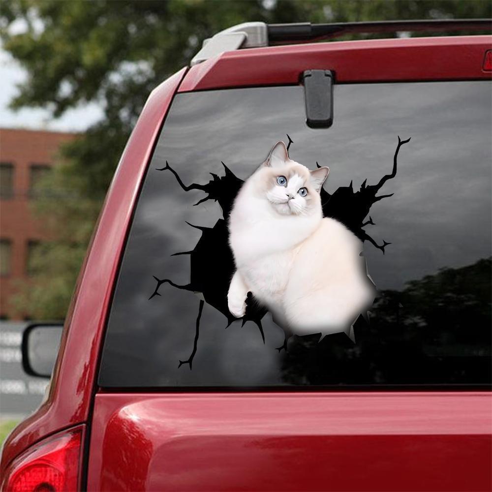 Car Sticker Cats Lover (114)