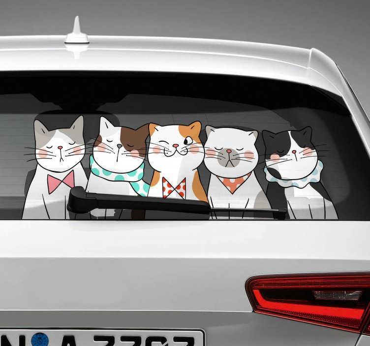 Cat Cat Car Sticker