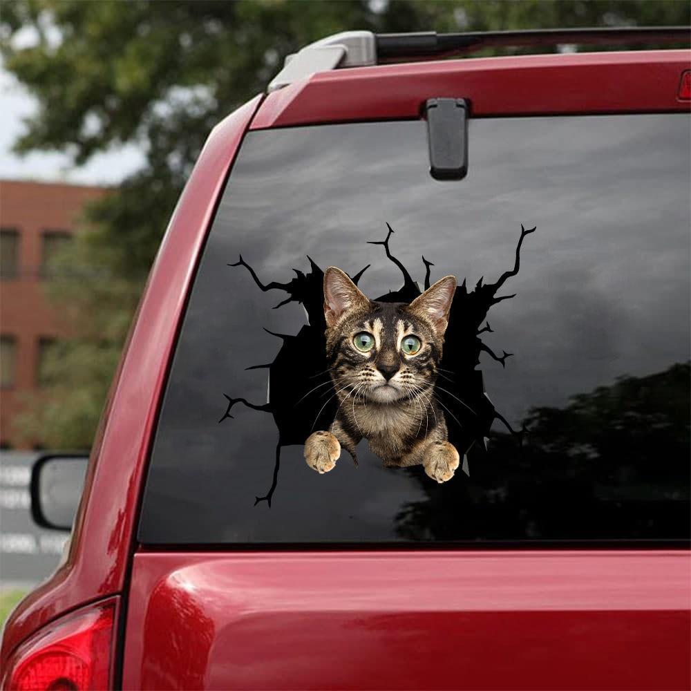 Car Sticker Cats Lover (34)