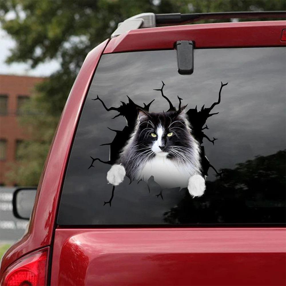 Car Sticker Cats Lover (102)