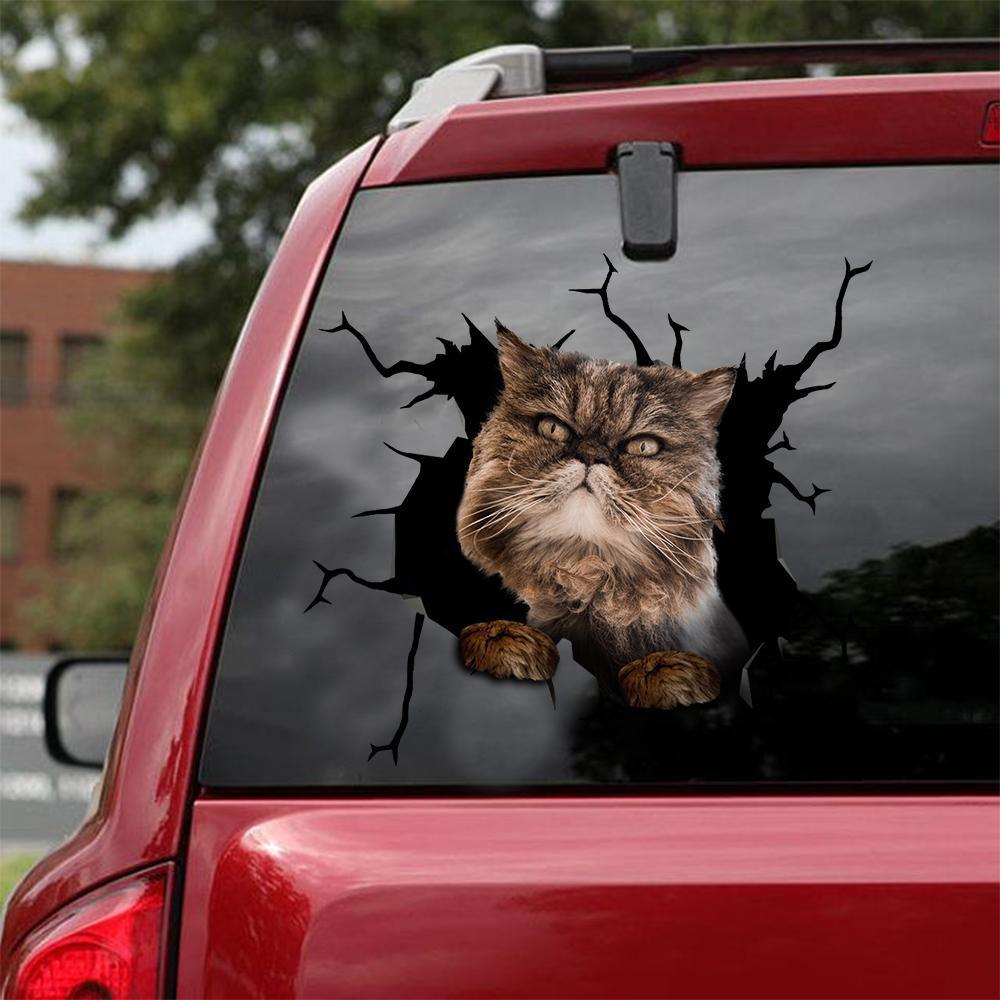 Car Sticker Cats Lover (151)