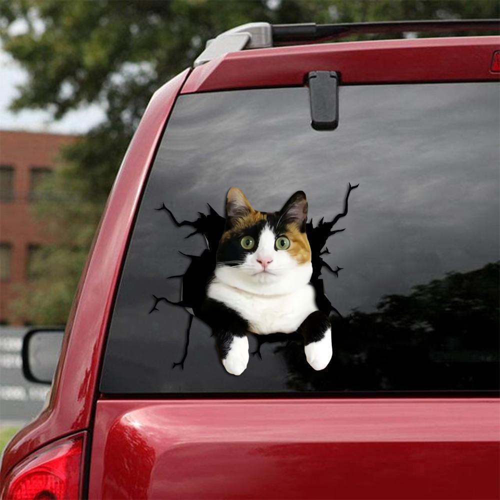 Car Sticker Cats Lover (232)