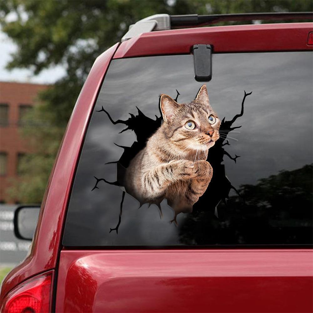 Car Sticker Cats Lover (142)