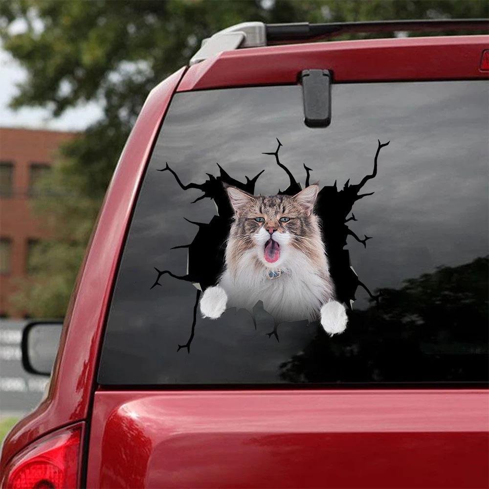 Car Sticker Cats Lover (103)