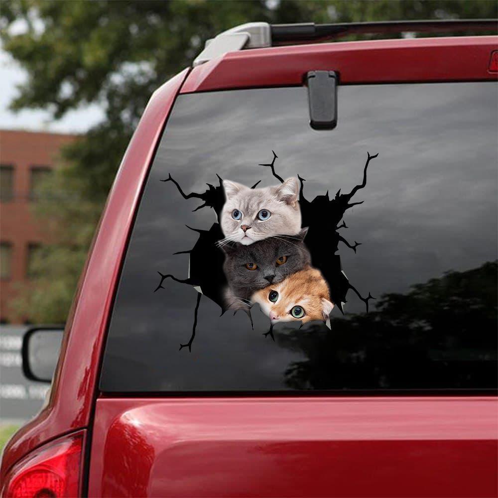 Car Sticker Cats Lover (178)