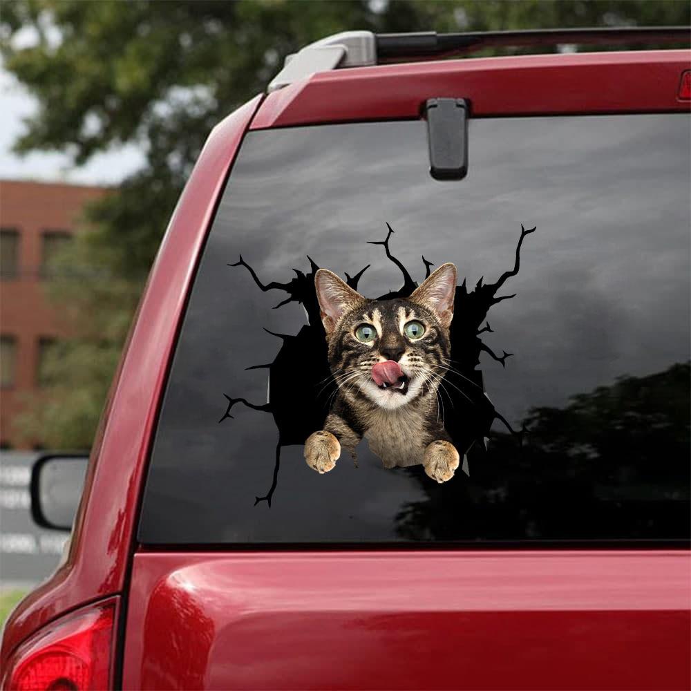 Car Sticker Cats Lover (35)