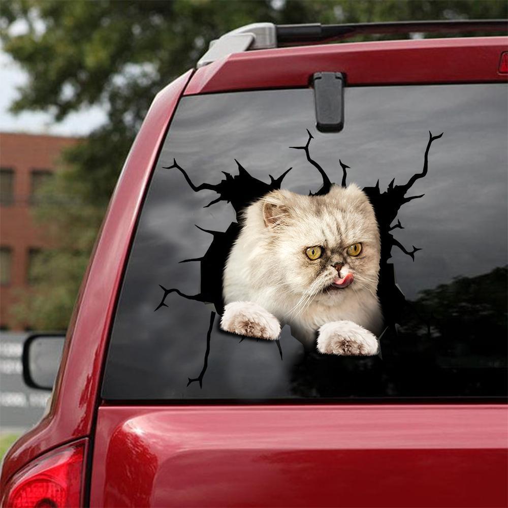 Car Sticker Cats Lover (152)