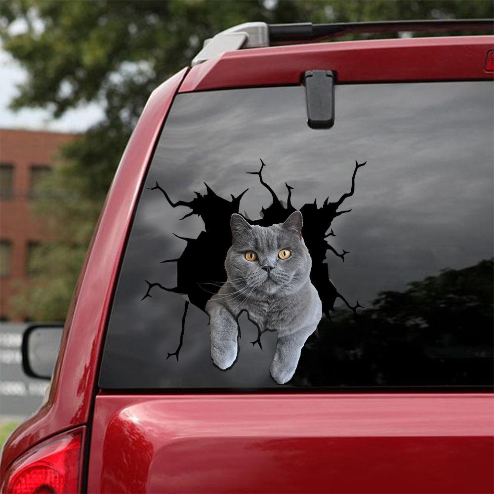 Car Sticker Cats Lover (193)