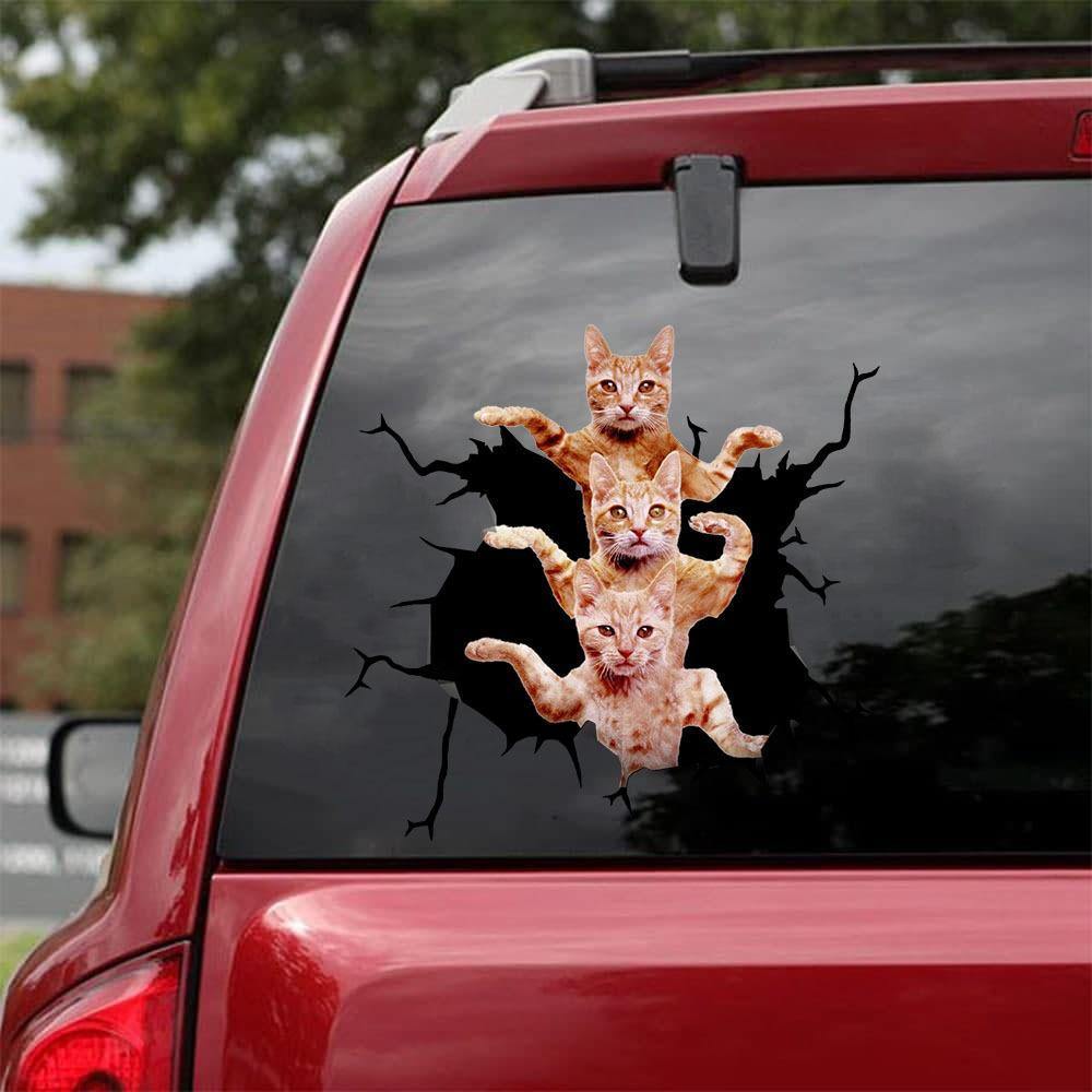 Car Sticker Cats Lover (181)