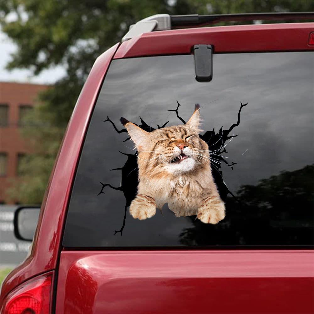 Car Sticker Cats Lover (54)